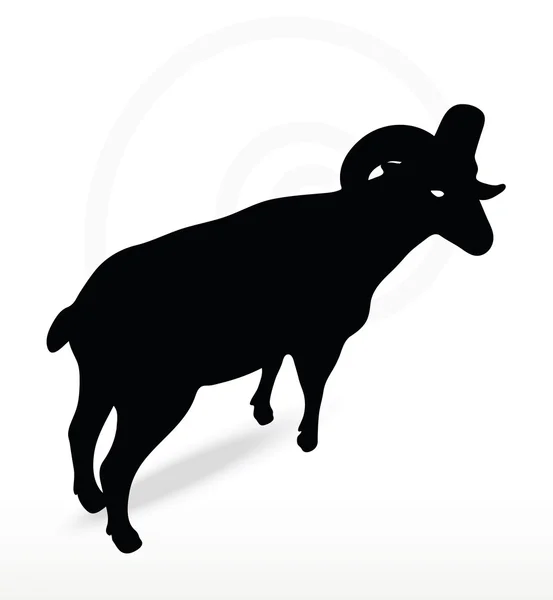 Silueta de oveja de cuerno grande en pose de cabeza giratoria — Vector de stock