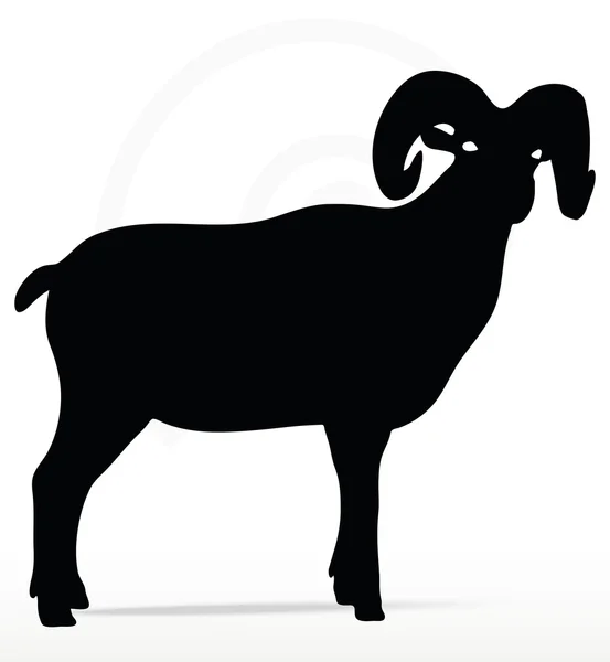 Grande corne de mouton silhouette en tête torsadée pose — Image vectorielle