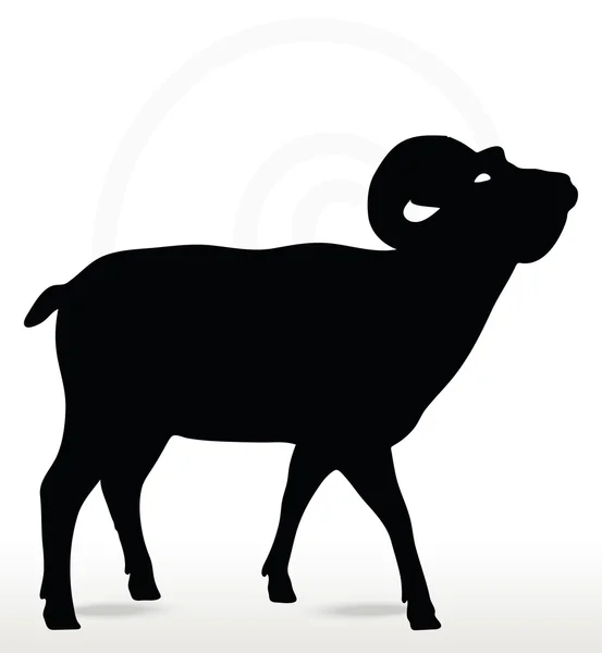 Sylwetka owiec Bighorn w górę poza twarz — Wektor stockowy
