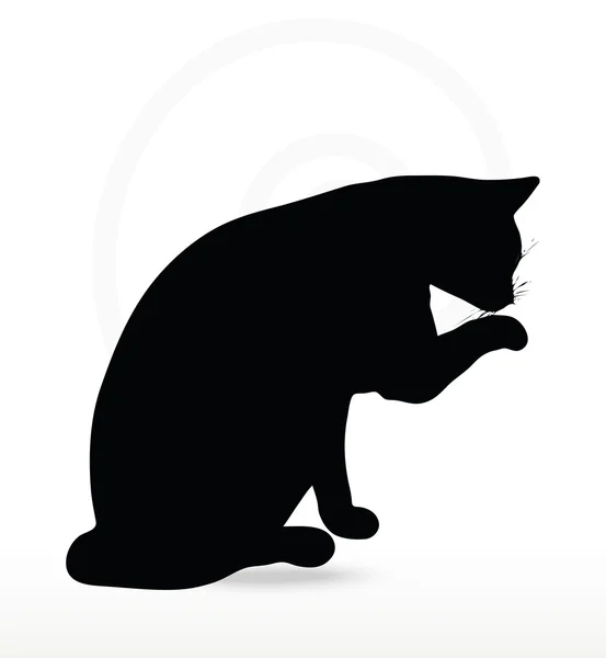 Imagen vectorial - silueta de gato en pose de pata de limpieza — Vector de stock