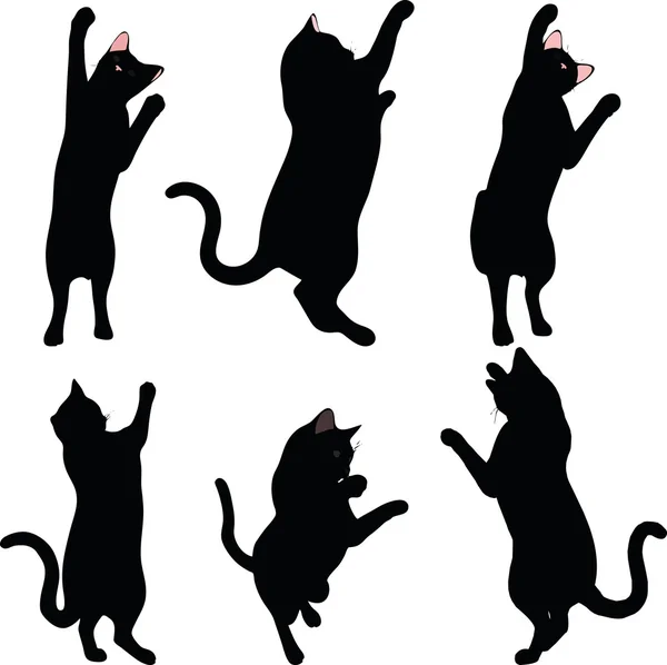 Katt silhuett i Reach pose — Stock vektor