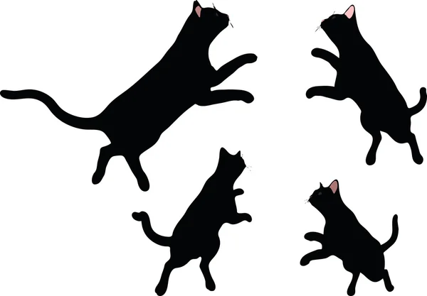 矢量图像-猫剪影跳跃的姿势 — 图库矢量图片