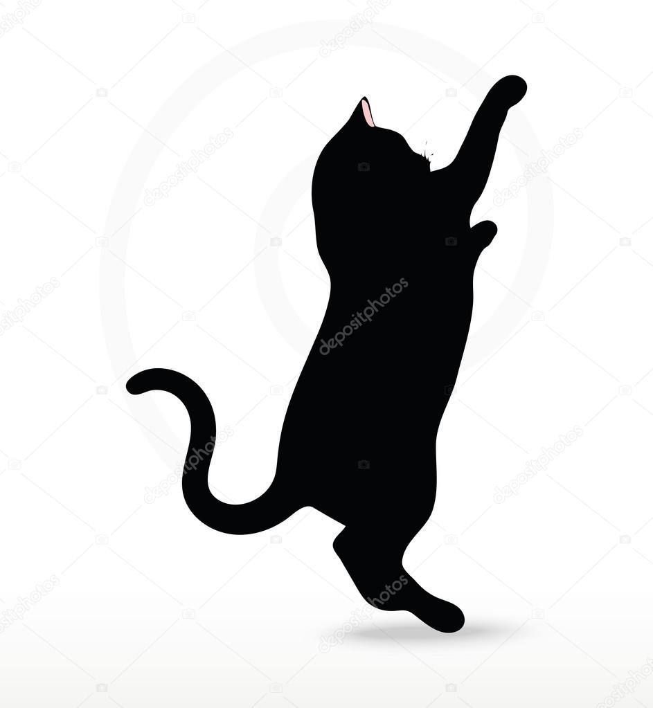 cat silhouette in Reach pose