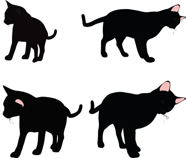 Kat silhouet in wrijven geur pose — Stockvector