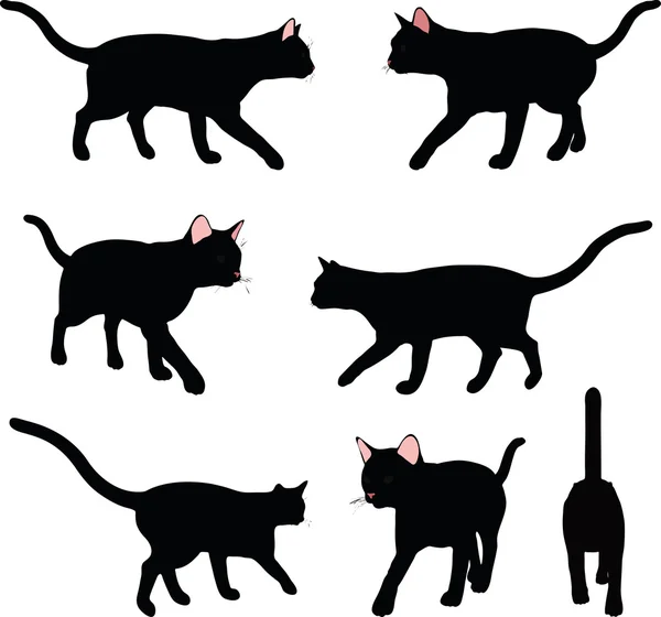 Silhouette de chat en pose de marche — Image vectorielle