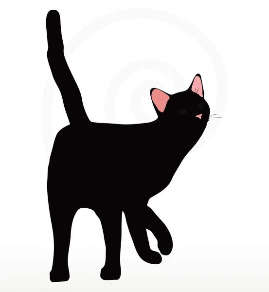 Kattensilhouet — Stockvector