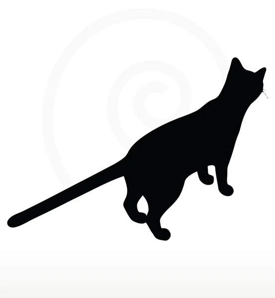 Kattensilhouet — Stockvector