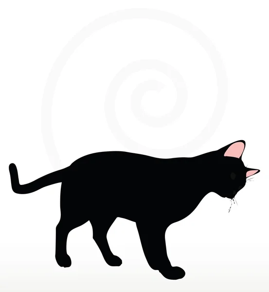 Cat silhouette in Rubbing Scent  pose — Stock Vector