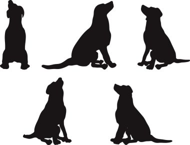 Köpek Silueti