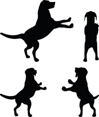 Köpek Silueti