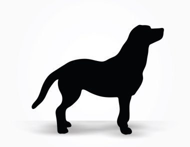 Köpek Silueti