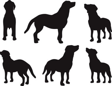 Köpek Silueti