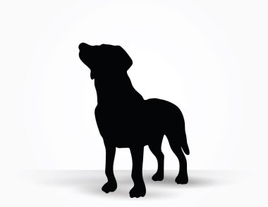 Köpek Silueti