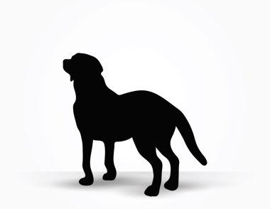 Köpek Silueti