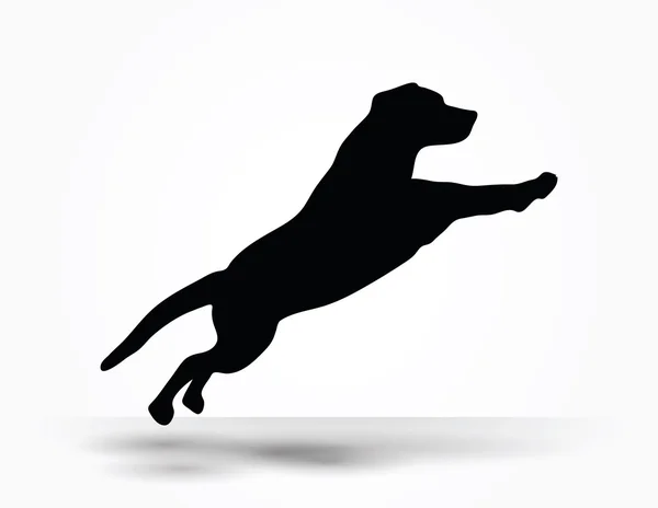 Dog silhouette — Stock Vector