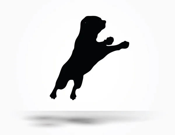 Dog silhouette — Stock Vector