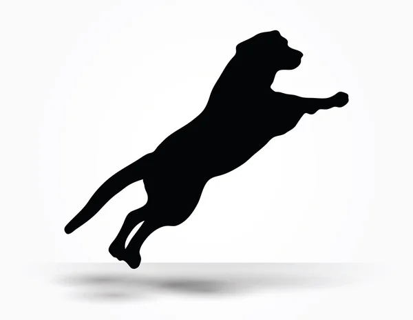 Silhouette pour chien — Image vectorielle