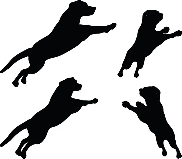 Hundsiluett — Stock vektor