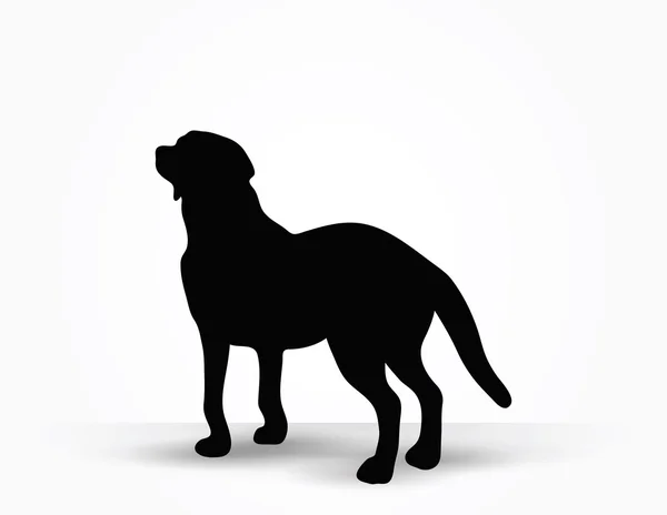 Dog silhouette — Stock Vector