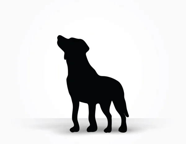Sylwetka psa — Wektor stockowy