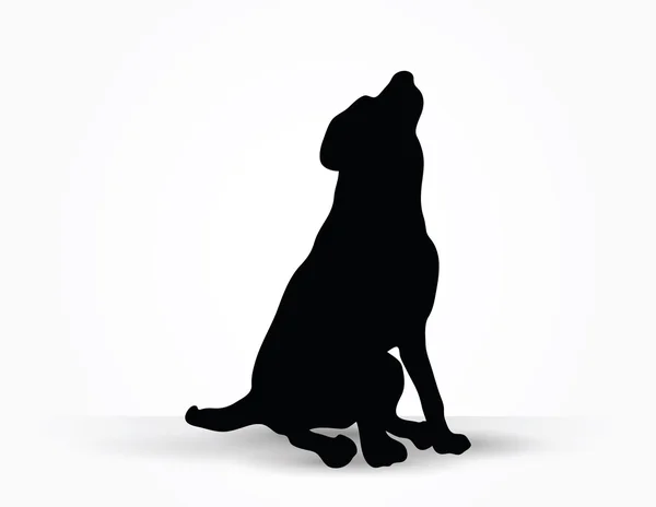 HundeSilhouette – stockvektor