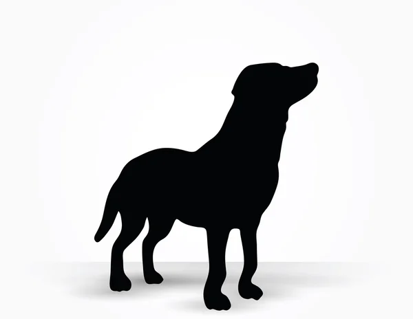 Silhueta de cão — Vetor de Stock