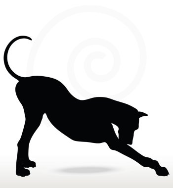  köpek siluet streç poz