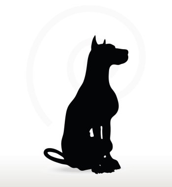 poz defada köpek siluet