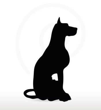 poz defada köpek siluet