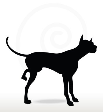 köpek siluet bacak poz kaldırdı