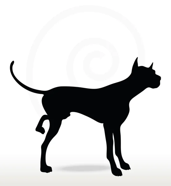 Silhueta cão na perna levantada pose —  Vetores de Stock