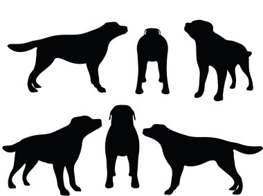 Köpek Silueti