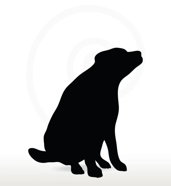 Dog silhouette — Stock Vector