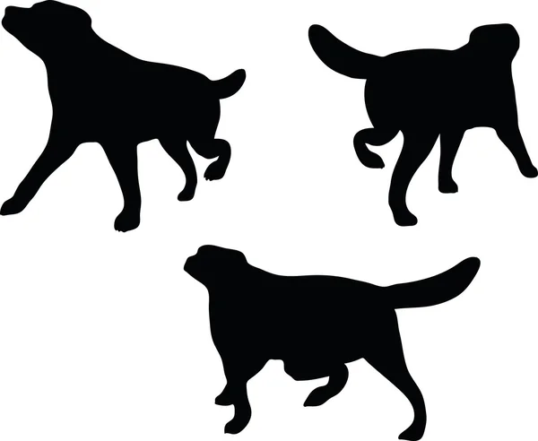Silhouette cane — Vettoriale Stock