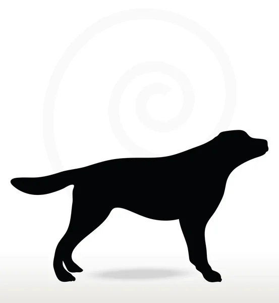 Silueta de perro — Vector de stock