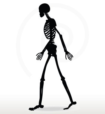 skeleton silhouette in walk clipart