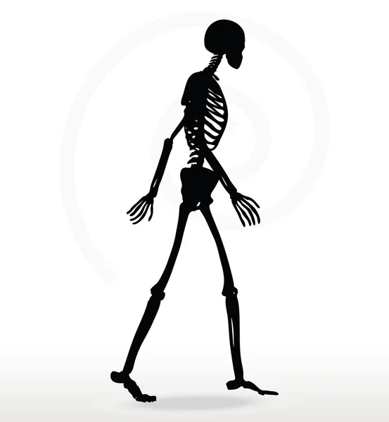 Skeleton silhouette in walk — Stock Vector