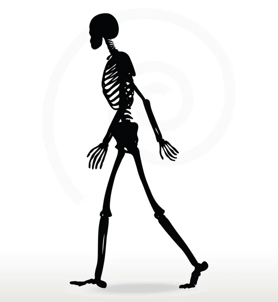 Skeleton silhouette in walk — Stock Vector