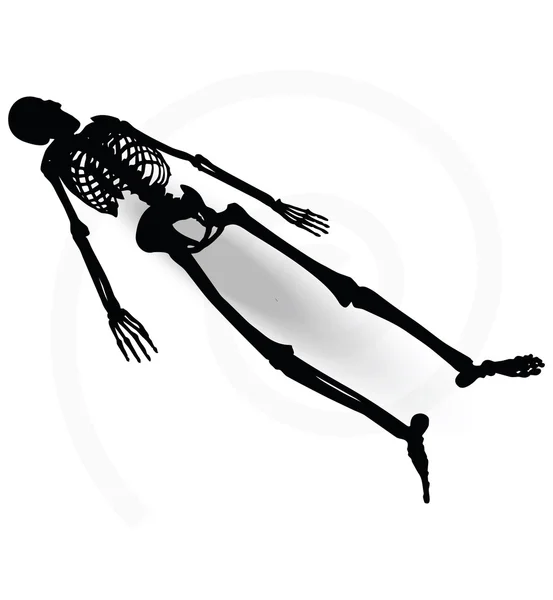 Skeleton silhouette in prone pose — Stock Vector