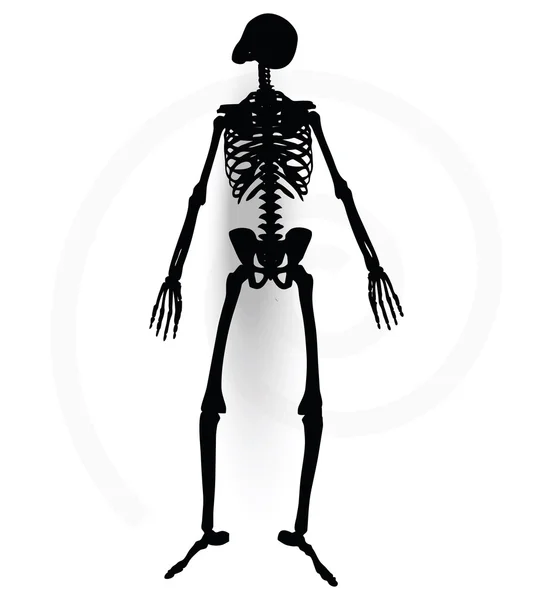 Skeleton silhouette in prone pose — Stock Vector