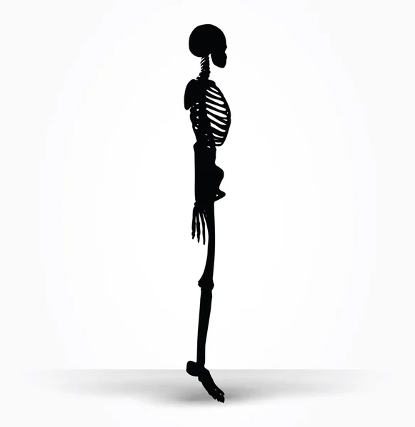 Skeleton silhouet in gebreke vormen — Stockvector