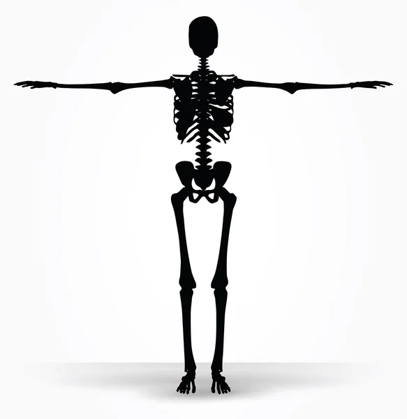 Silhouette scheletro in posa predefinita — Vettoriale Stock