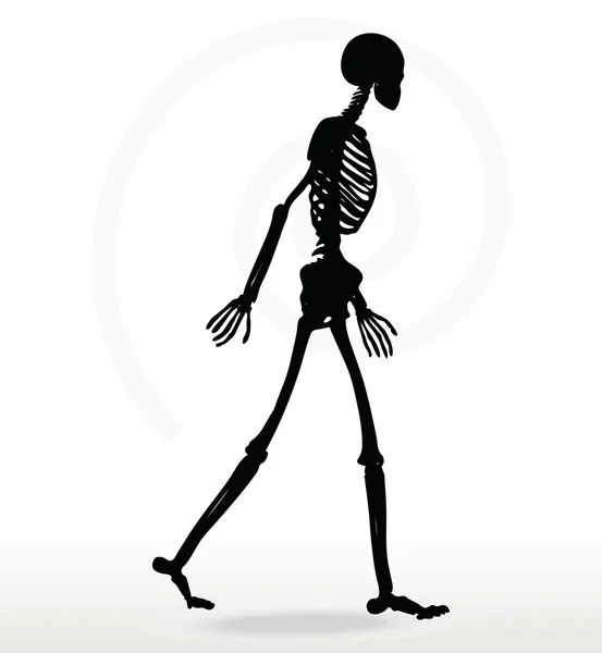 Skeleton silhouette in walk — Stock Vector