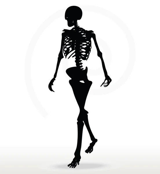 Skeleton silhouette in walk — Stock Vector