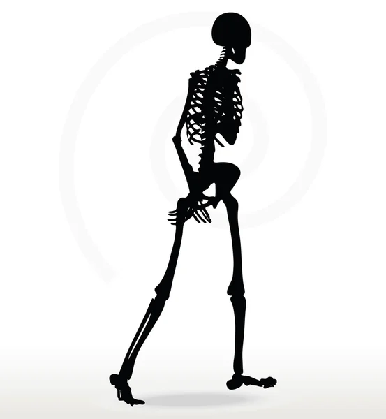 Skelett siluett på promenad — Stock vektor