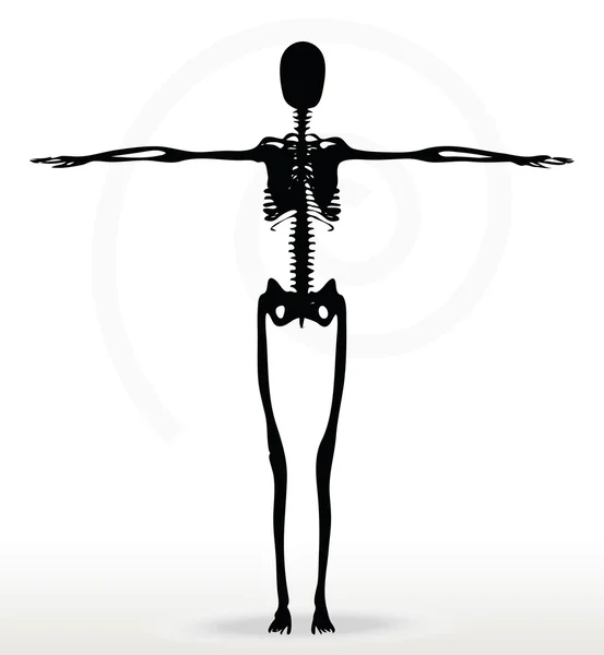 Skeleton silhouette in default pose — Stock Vector