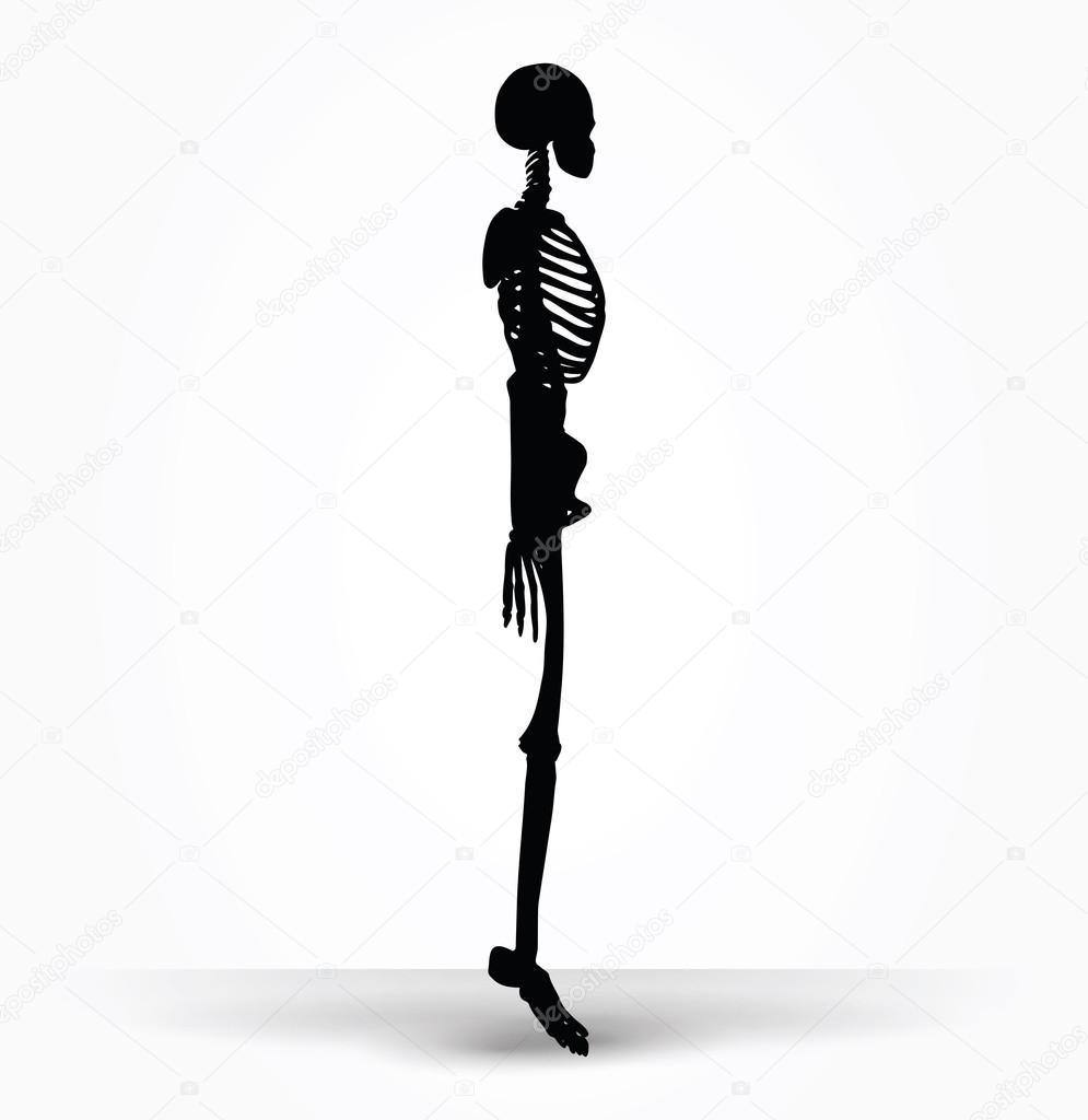 skeleton silhouette in default pose 