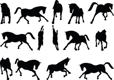 poz çalışan at siluet