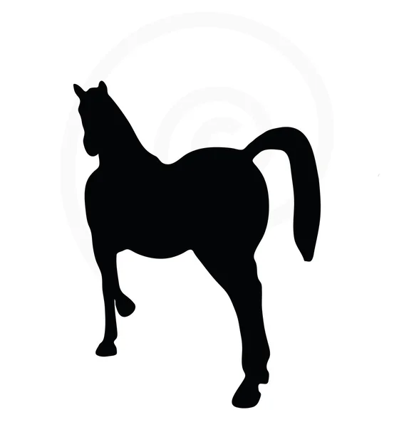 Silhouette de cheval isolée sur blanc — Image vectorielle