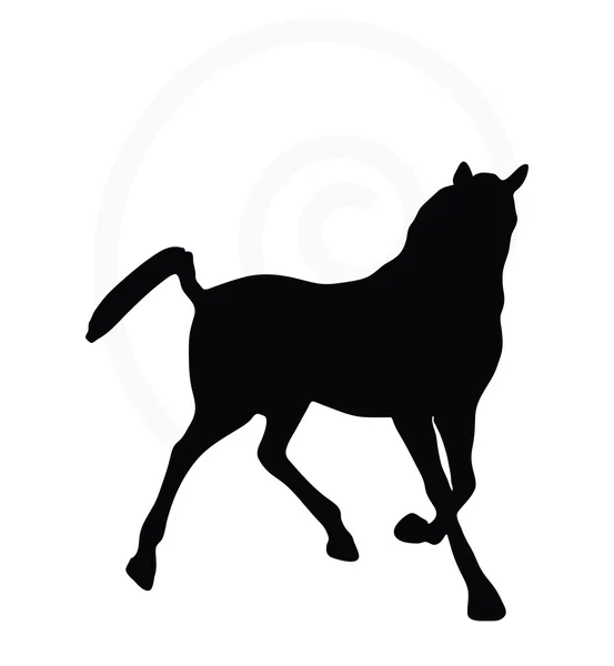 Silueta de caballo en buena pose — Vector de stock